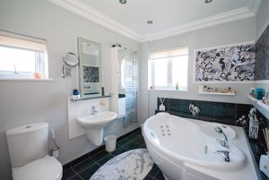 Photo 10- click for photo gallery